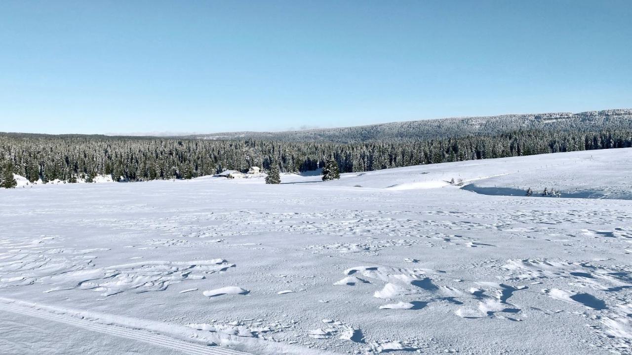 Appartement Ideal Pour Ete Et Hiver, Situe Au Pied Des Pistes De Ski Et Des Sentiers De Randonnee Prémanon 外观 照片